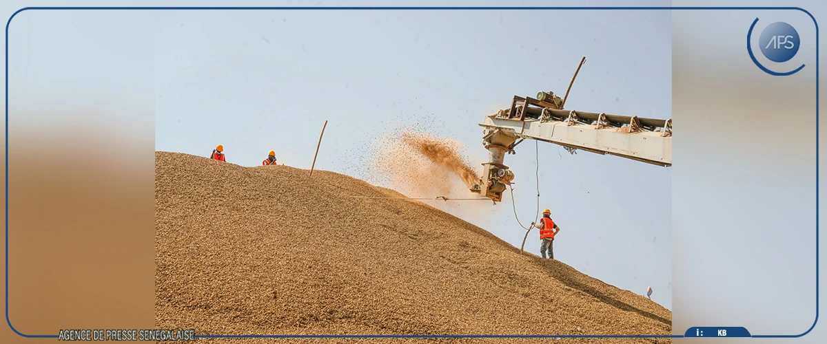 Diourbel : la SONACOS ouvre la trituration de l’arachide aux opérateurs de Touba