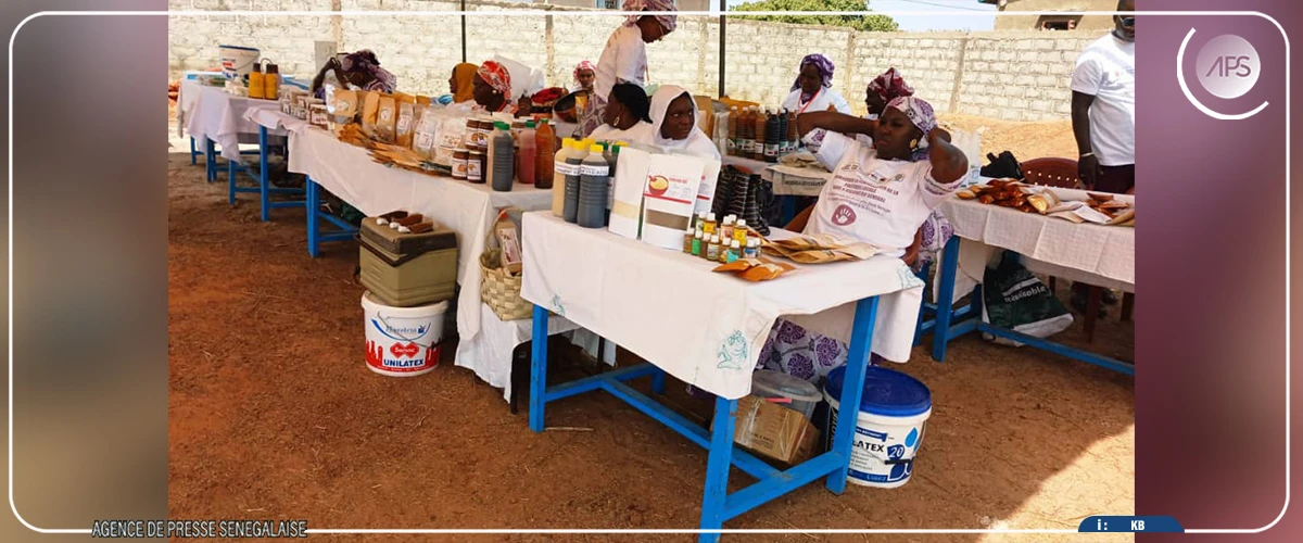 Sédhiou : Clarisse Bassene plaide pour une présence accrue des femmes dans la prise de décision locale
