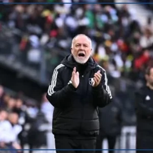 Le sélectionneur du Pérou salue la qualité de jeu des Lions et leur potentiel pour le Mondial