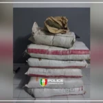 Une saisie de 80 kilos de chanvre indien à Sédhiou