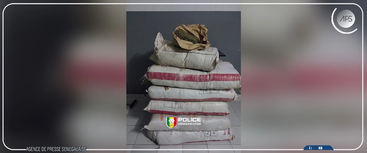 Une saisie de 80 kilos de chanvre indien à Sédhiou