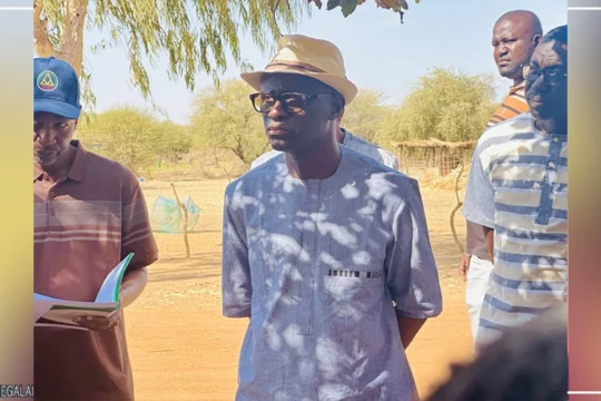 Riz : à Bakel, la SAED salue la hausse des surfaces cultivées pour la contre-saison