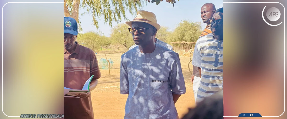 Riz : à Bakel, la SAED salue la hausse des surfaces cultivées pour la contre-saison