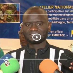 EMBRACE : Enda Tiers-Monde renforce la résilience des femmes face aux défis climatiques dans cinq régions