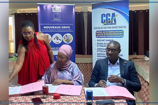 Le BMN et une plateforme digitale renforcent la structuration et l’accès au financement des entreprises agricoles