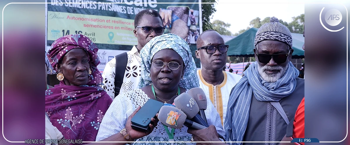 Une foire locale à Nguéniène pour permettre aux paysans de découvrir de nouvelles semences