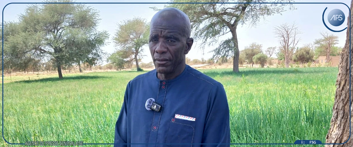 Les champs communautaires, des laboratoires à ciel ouvert d'une souveraineté alimentaire en chantier