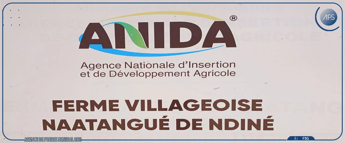 Les champs communautaires, des laboratoires à ciel ouvert d'une souveraineté alimentaire en chantier