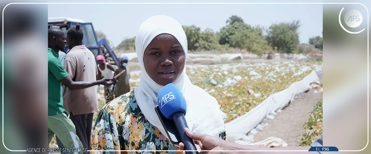 Des rendements ''assez satisfaisants'' dans les fermes ANIDA de Nguéniène et Séssène (responsable)