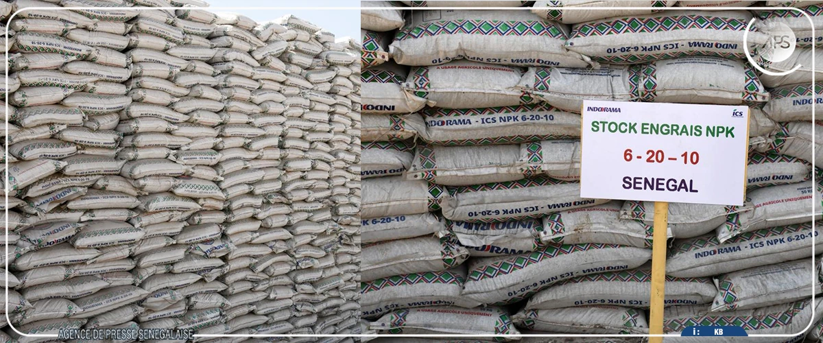 Campagne agricole 2026 : l'Etat veut anticiper la distribution des intrants dans les régions sud et sud-est (ministre)