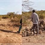 Un ingénieur aménagiste propose des ouvrages accessibles contre la dégradation des écosystèmes 