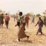 Les travaux champêtres, une autre forme de dévotion antérieure au Daaka