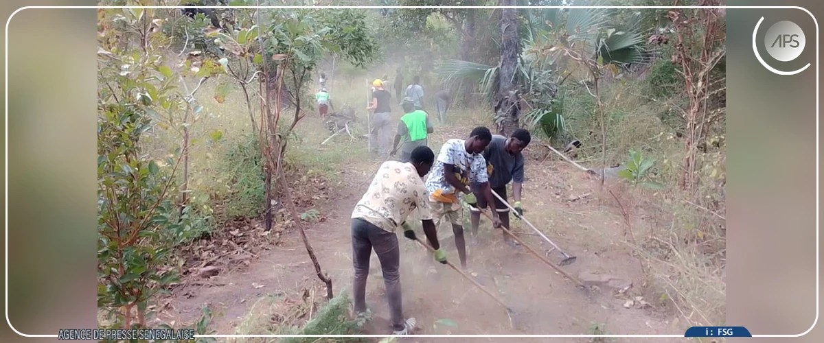 Réserve de Dindéfélo : les initiatives locales contre les feux de brousse amplifiées