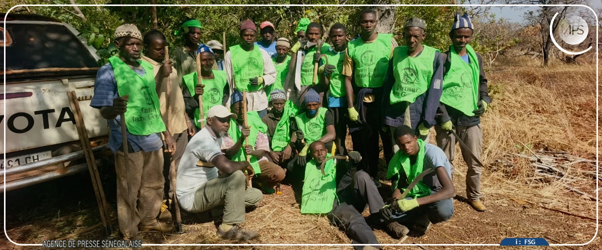Réserve de Dindéfélo : les initiatives locales contre les feux de brousse amplifiées