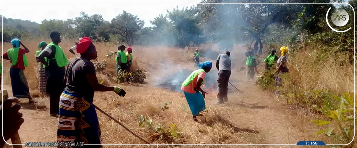 Réserve de Dindéfélo : les initiatives locales contre les feux de brousse amplifiées
