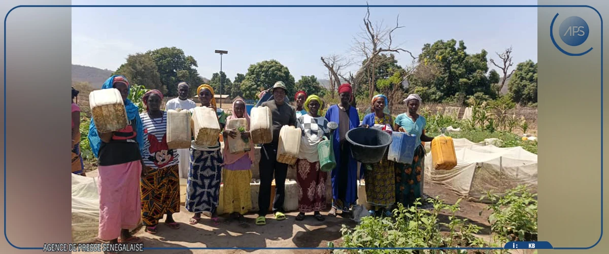 Dindéfélo mise sur l’écotourisme pour préserver sa réserve naturelle et sa cascade