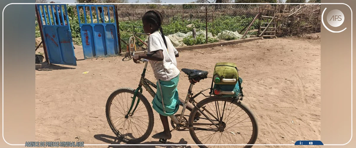 Dindéfélo mise sur l’écotourisme pour préserver sa réserve naturelle et sa cascade
