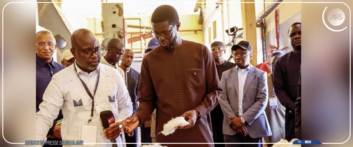 Bassirou Diomaye Faye attendu au Daakaa de Madina Gounass, ce samedi