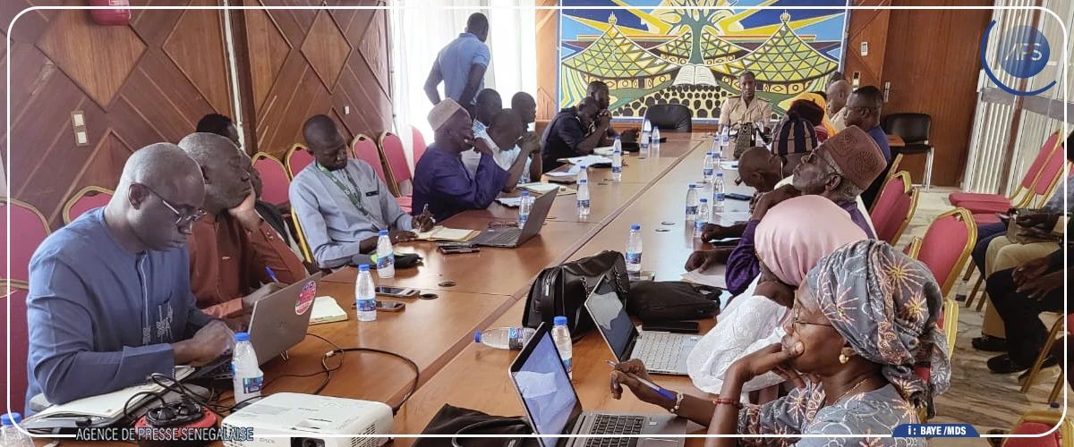 Kaolack : les besoins en moutons estimés à 50 000 têtes pour la Tabaski (officiel)