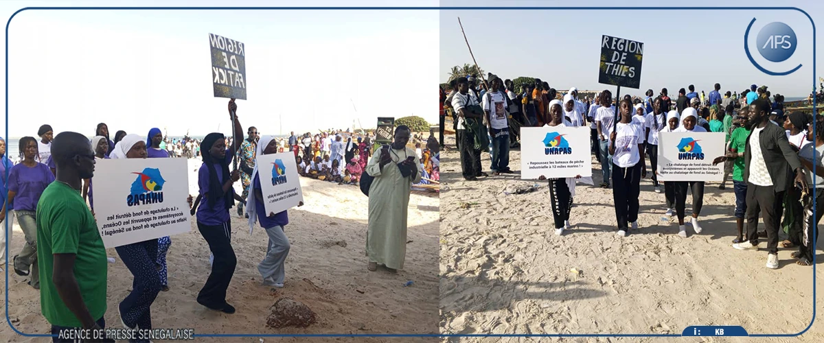 Pêche : une organisation de pêcheurs appelle le gouvernement à prendre en compte les aspirations du secteur