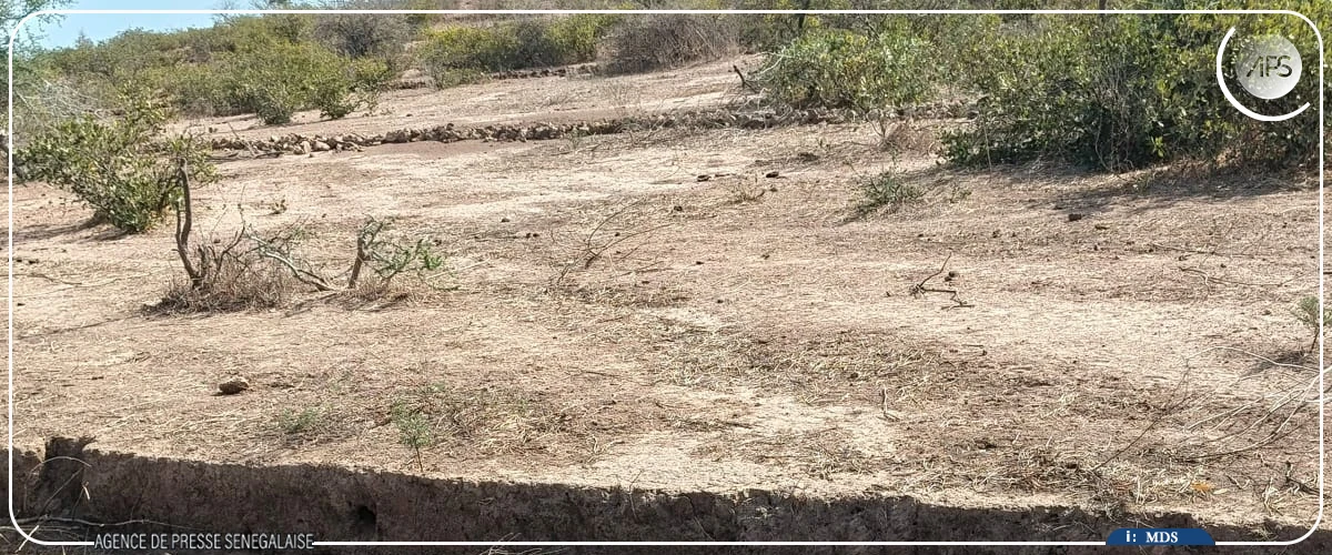 Un ingénieur aménagiste propose des ouvrages accessibles contre la dégradation des écosystèmes 