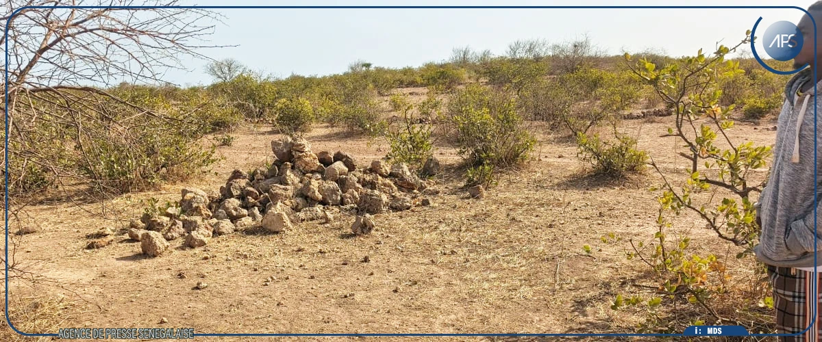 Un ingénieur aménagiste propose des ouvrages accessibles contre la dégradation des écosystèmes 