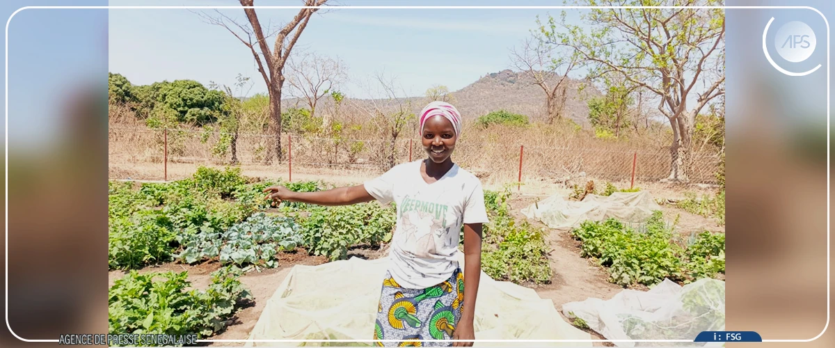 Le combat des femmes pour sauver la réserve et la cascade de Dindéfélo