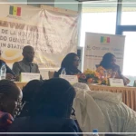 Le deuxième rapport des ODD et le troisième bulletin statistiques genre au menu d'un atelier