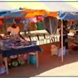 Une foire locale à Nguéniène pour permettre aux paysans de découvrir de nouvelles semences