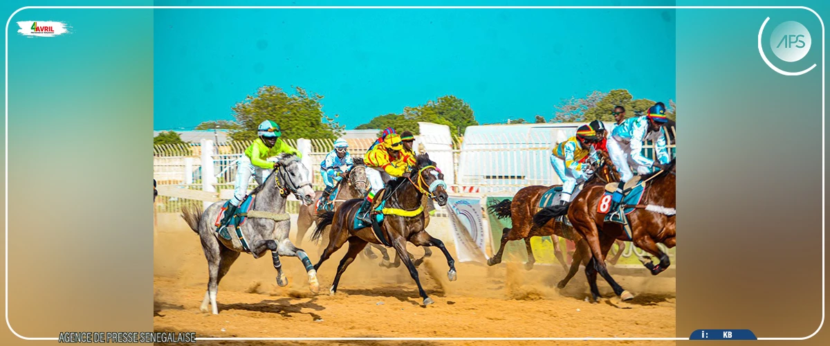 Formation, infrastructures, performances : Thiès, une ville sportive   