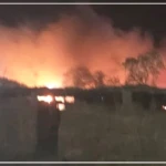 Saint-Louis : les services de l'État mobilisés pour la réussite du Gamou dédié à Serigne Babacar Sy