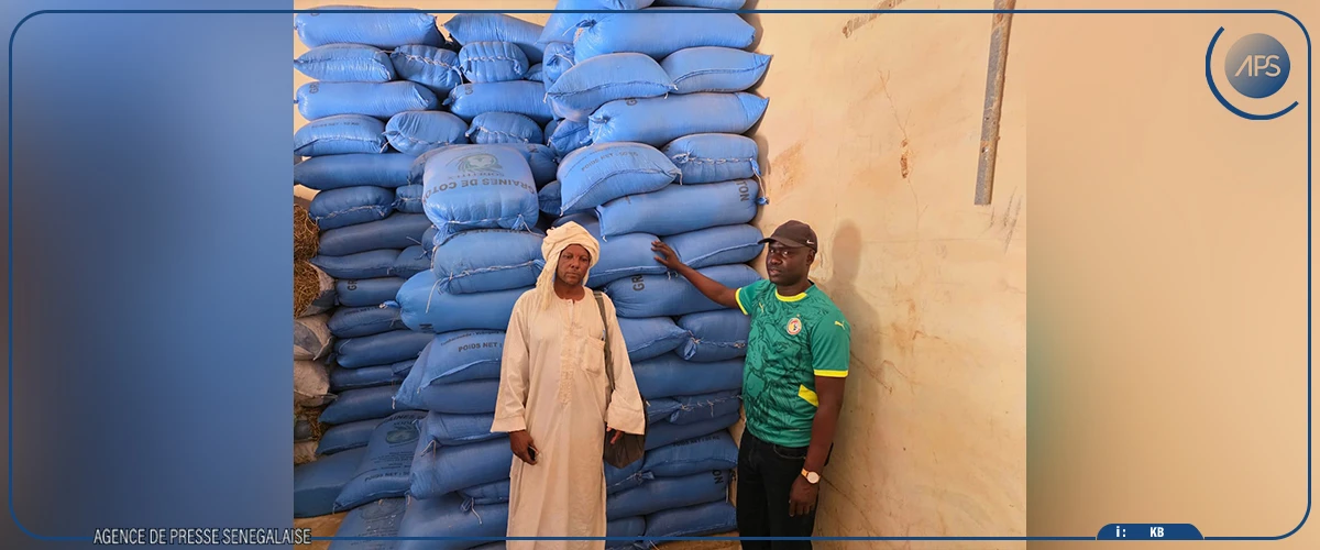 Kaffrine : 125 tonnes de graines de coton mises à la disposition des éleveurs de la région