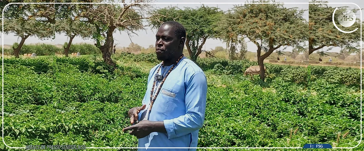 Immersion dans les fermes ANIDA, au cœur d'une révolution silencieuse