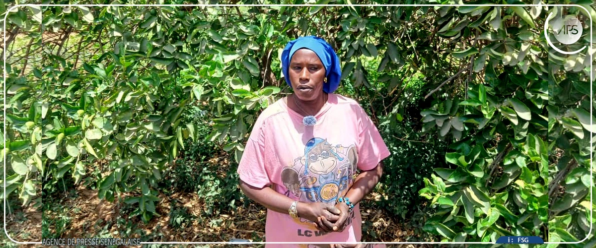 Immersion dans les fermes ANIDA, au cœur d'une révolution silencieuse