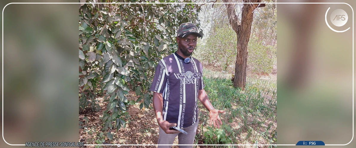 Immersion dans les fermes ANIDA, au cœur d'une révolution silencieuse