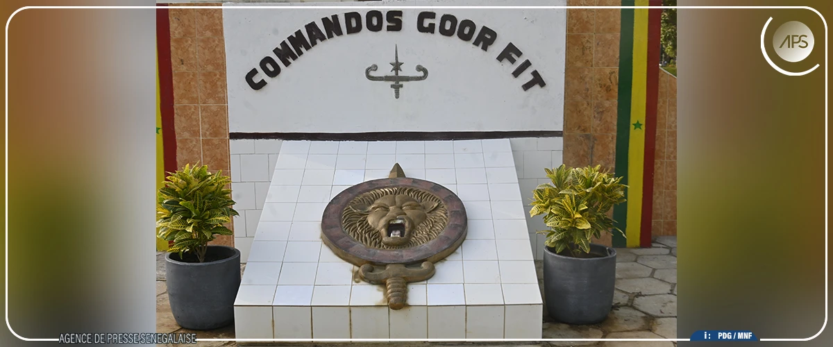 Immersion de 72 heures chez les commandos, force et esprit de lion