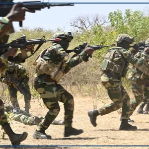 Immersion de 72 heures chez les commandos, force et esprit de lion