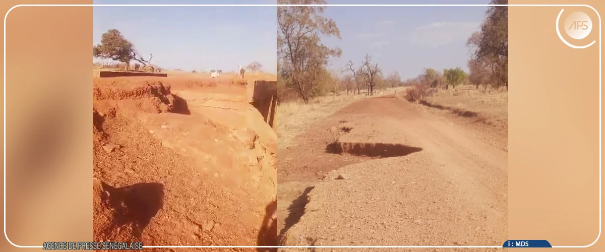 Bakel : appel à la réhabilitation de la piste Sinthiou Fissa-Yérimalé avant le début de l'hivernage