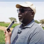 Les champs communautaires, des laboratoires à ciel ouvert d'une souveraineté alimentaire en chantier