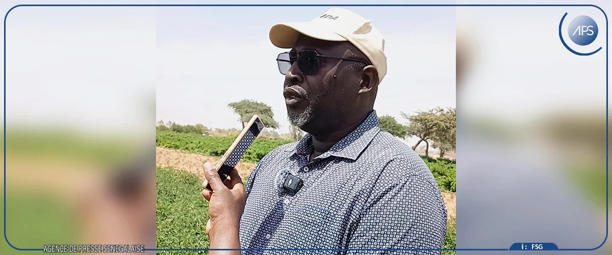 Les champs communautaires, des laboratoires à ciel ouvert d'une souveraineté alimentaire en chantier