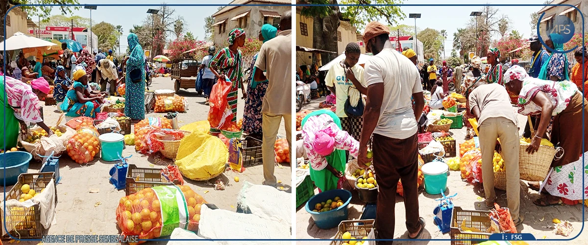 Les marchés de Ziguinchor, un parcours de couleurs et de senteurs