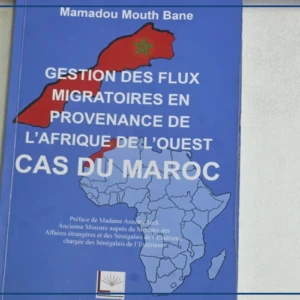 Un journaliste jette un regard sur le rôle du Maroc dans la gestion des flux migratoires