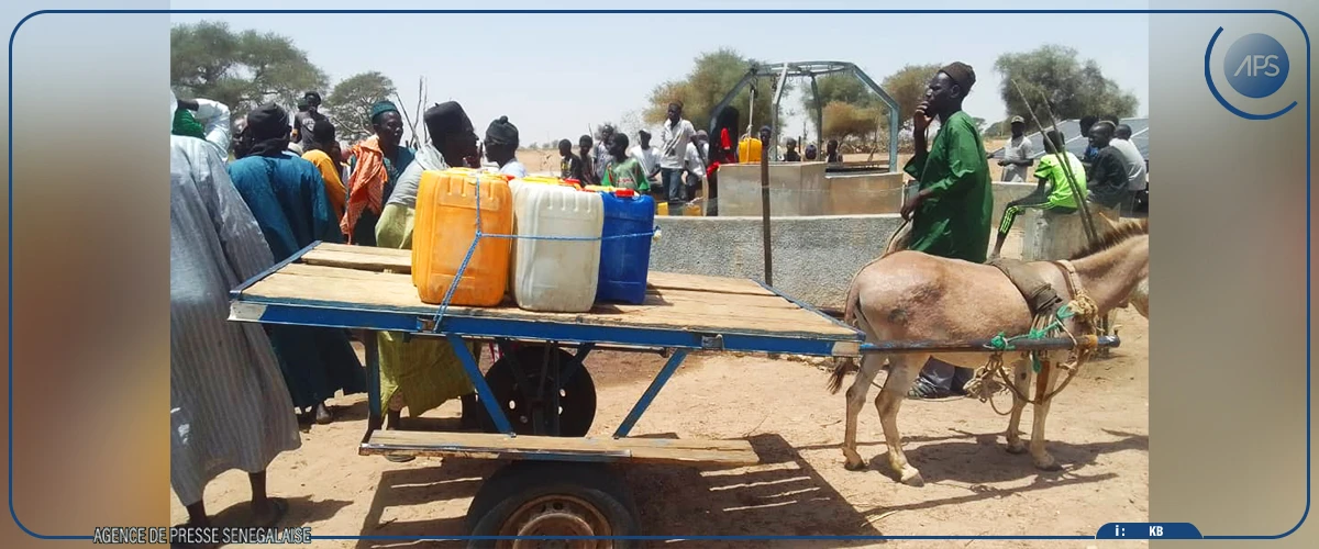 Touba Mboul : des populations réclament un forage pour l’accès à l’eau potable