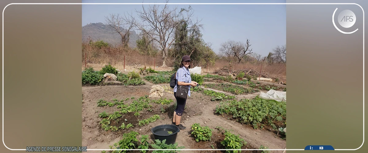 Dindéfélo mise sur l’écotourisme pour préserver sa réserve naturelle et sa cascade