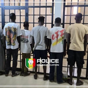 Nioro du Rip : la Police démantèle une bande de six malfaiteurs spécialisée dans le vol de cyclomoteurs