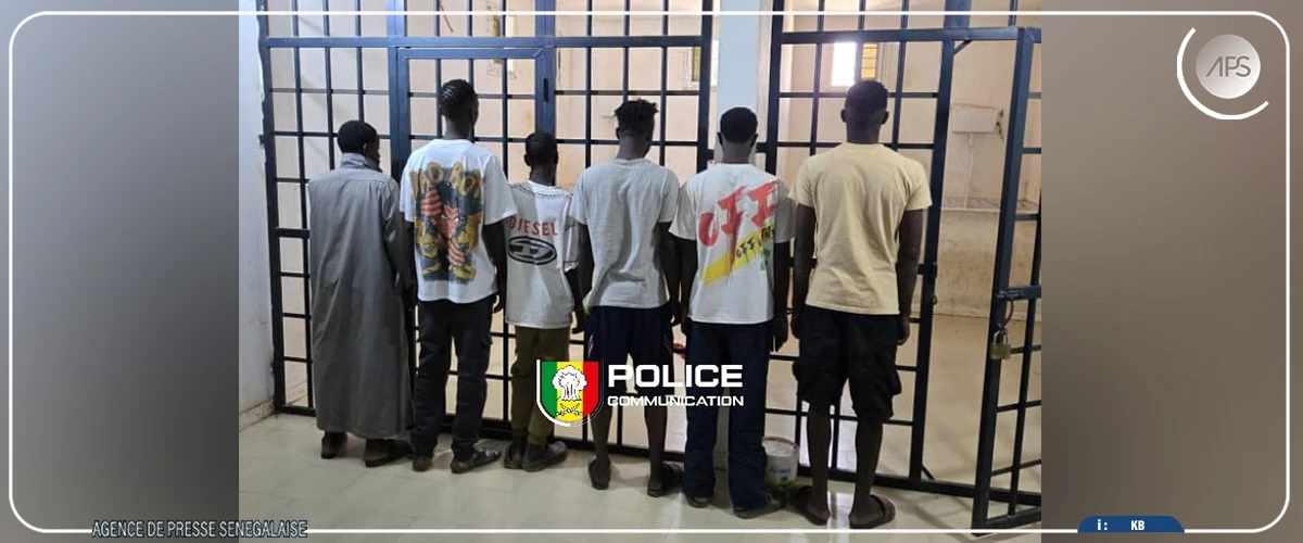 Nioro du Rip : la Police démantèle une bande de six malfaiteurs spécialisée dans le vol de cyclomoteurs