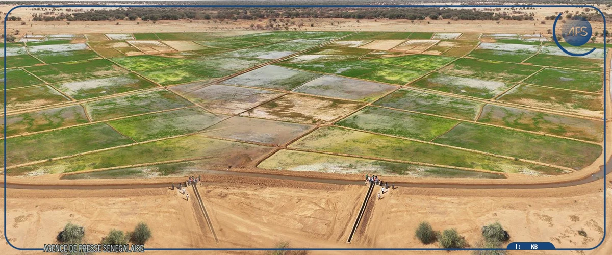 Matam : des entreprises chargées des aménagements pour la contre-saison invitées à livrer leurs travaux "d'ici fin avril''