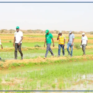 Matam : des entreprises chargées des aménagements pour la contre-saison invitées à livrer leurs travaux "d'ici fin avril''