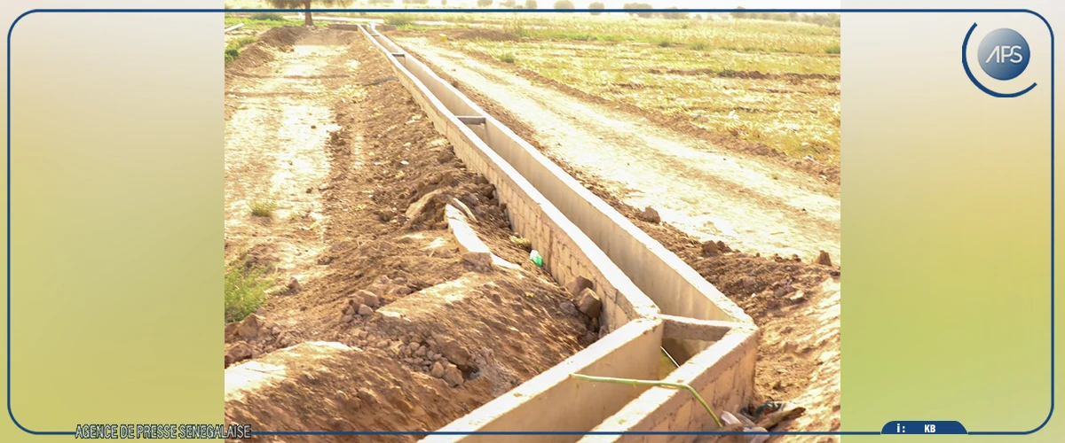 Matam : des entreprises chargées des aménagements pour la contre-saison invitées à livrer leurs travaux "d'ici fin avril''