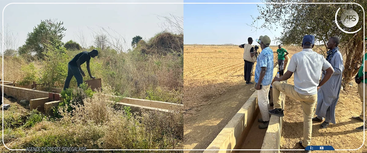 Bakel : un programme aide à réduire les pertes d'eau dans l’agriculture
